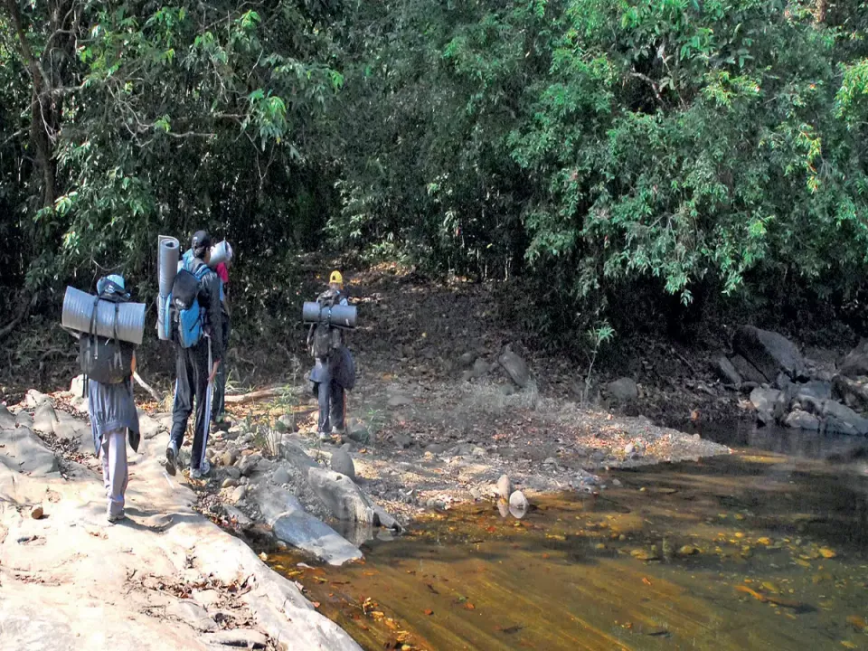  Karnataka govt issues a temporary ban on forest treks without online reservations
