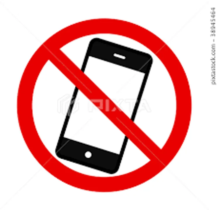  Locals vote to ban smartphone scrolling in public in French village