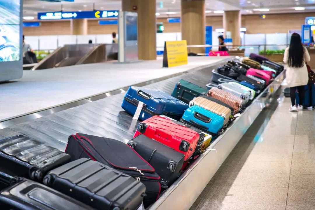  Regulator tells airlines to deliver all baggage within 30 minutes of landing