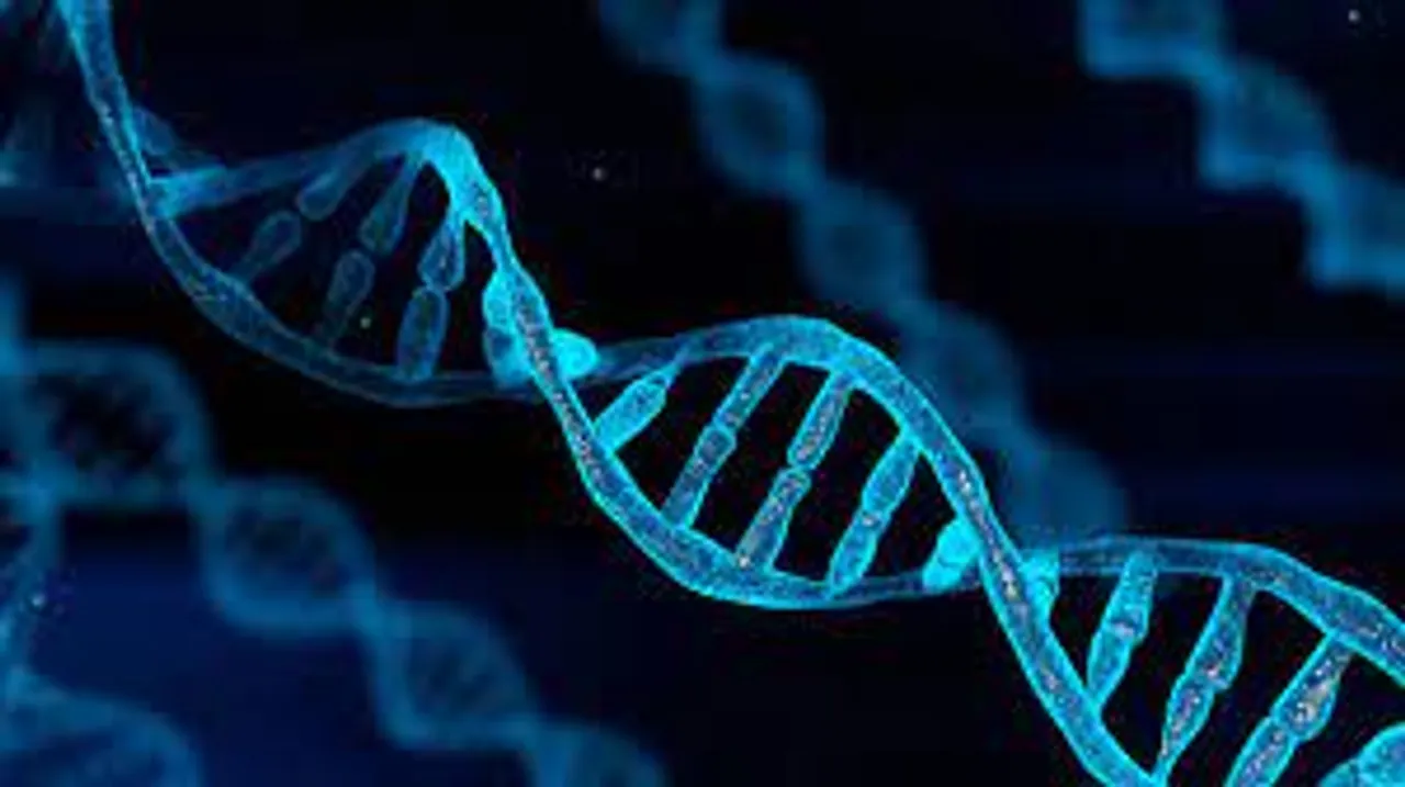  What is the origin of the people of India? A new DNA study reveals big surprises