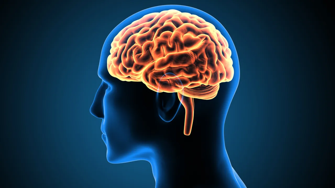  Scientists create artificial brain cells using water and salt