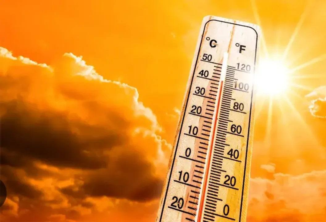  Heatwaves in Europe cause 30% rise in fatalities; heat-related deaths at an all-time high