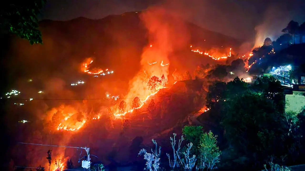  Why is over 140 hectares of Uttarakhand's forest under fire?
