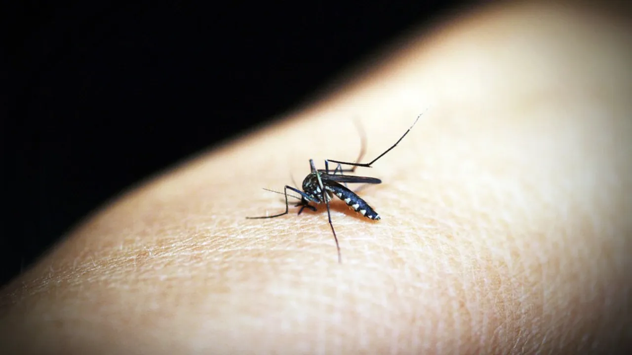  Mobile gaming linked to malaria deaths in Meghalaya
