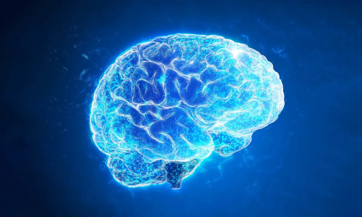  Google and Harvard introduce most detailed map of human brain ever