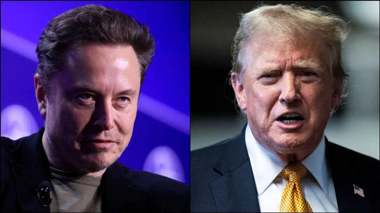  Elon Musk could be a policy advisor if Trump wins the election