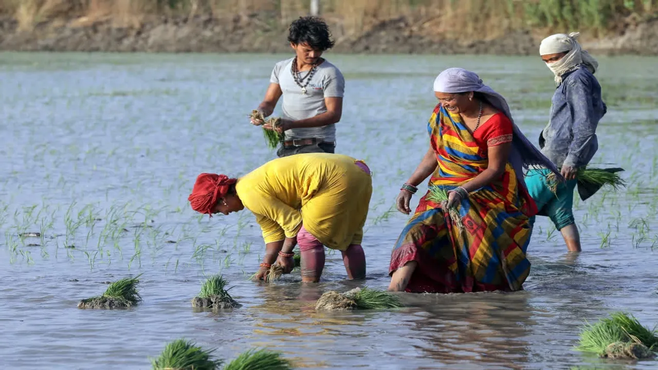  Centre approves MSP worth 1.5 times the cost of production on 14 Kharif crops