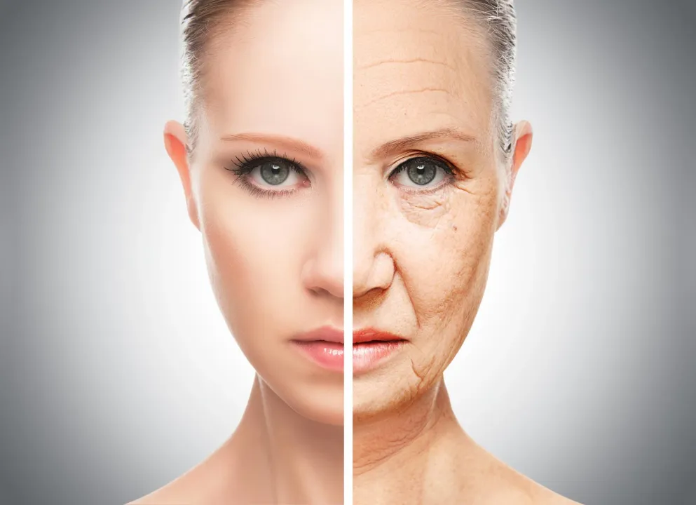  Researchers discover enzyme that slows aging and boosts health