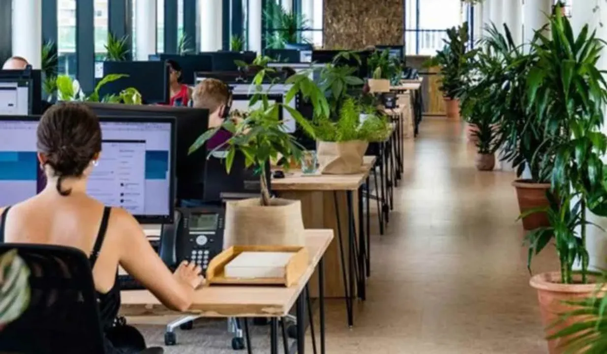  Green Certification India boasts over 65% of office space with Grade A