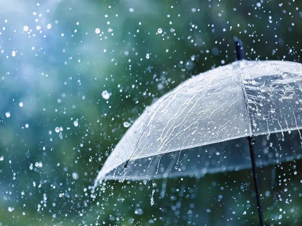 Wayanad launches India’s first rain gauge website for weather monitoring