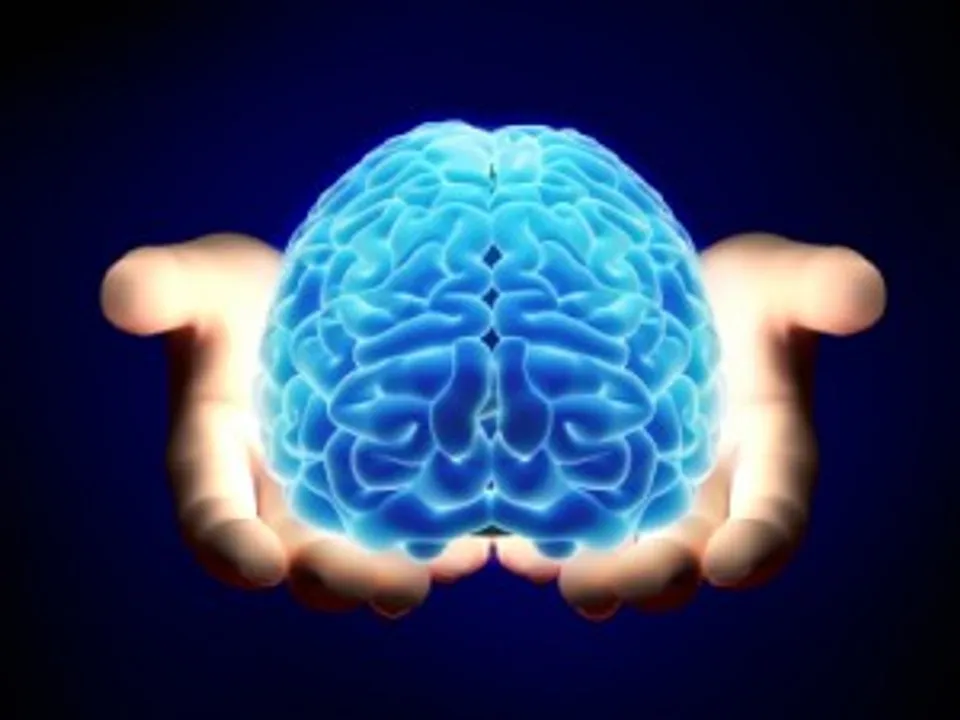  Waking up early may impair your cognitive ability, study suggests