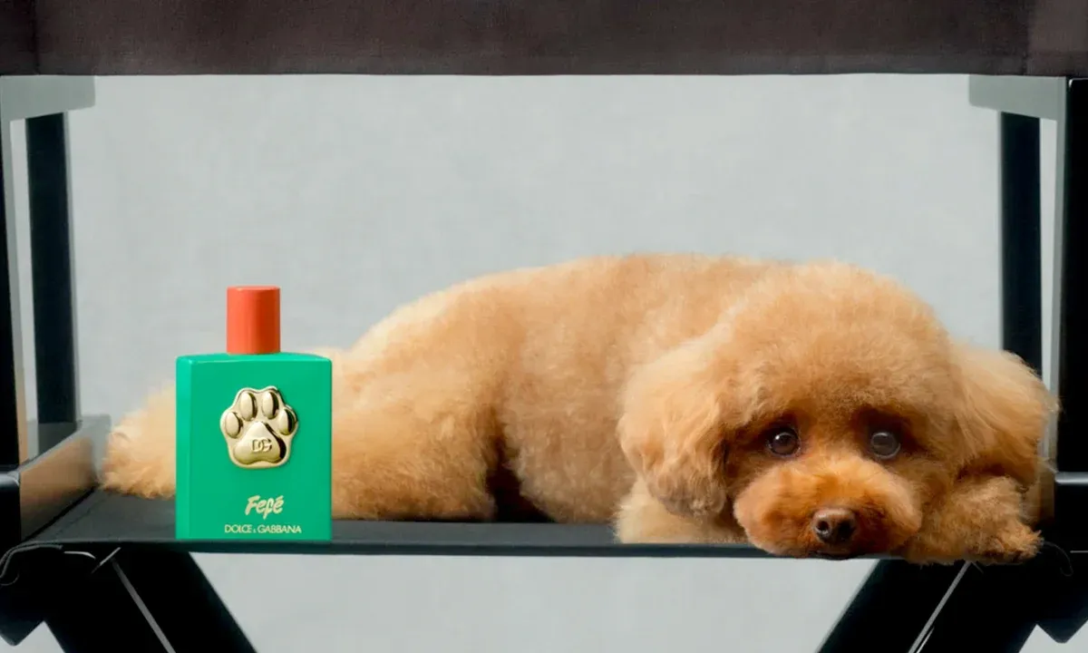  Italian luxury brand Dolce and Gabbana launches new scent for pets