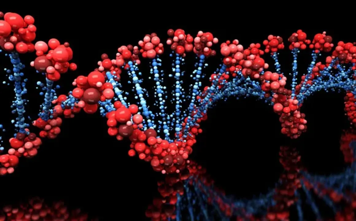  Revolutionary gene discovery paves way for extended human lifespan