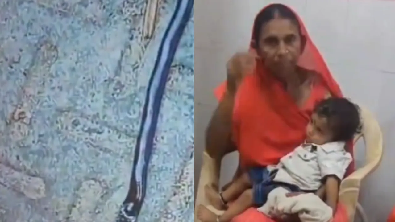  1-year-old toddler bites and kills a snake in Bihar, Medics shocked