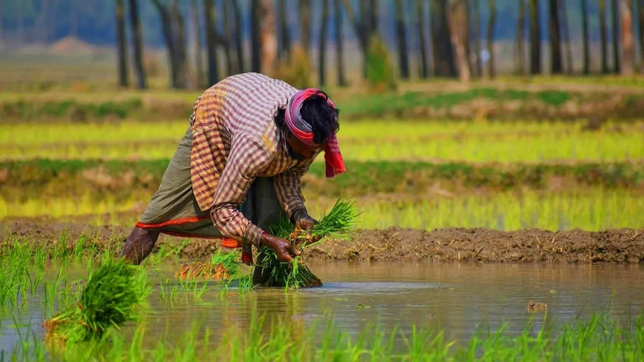  Kisan Ki Baat: A new show to be launched by government to help farmers