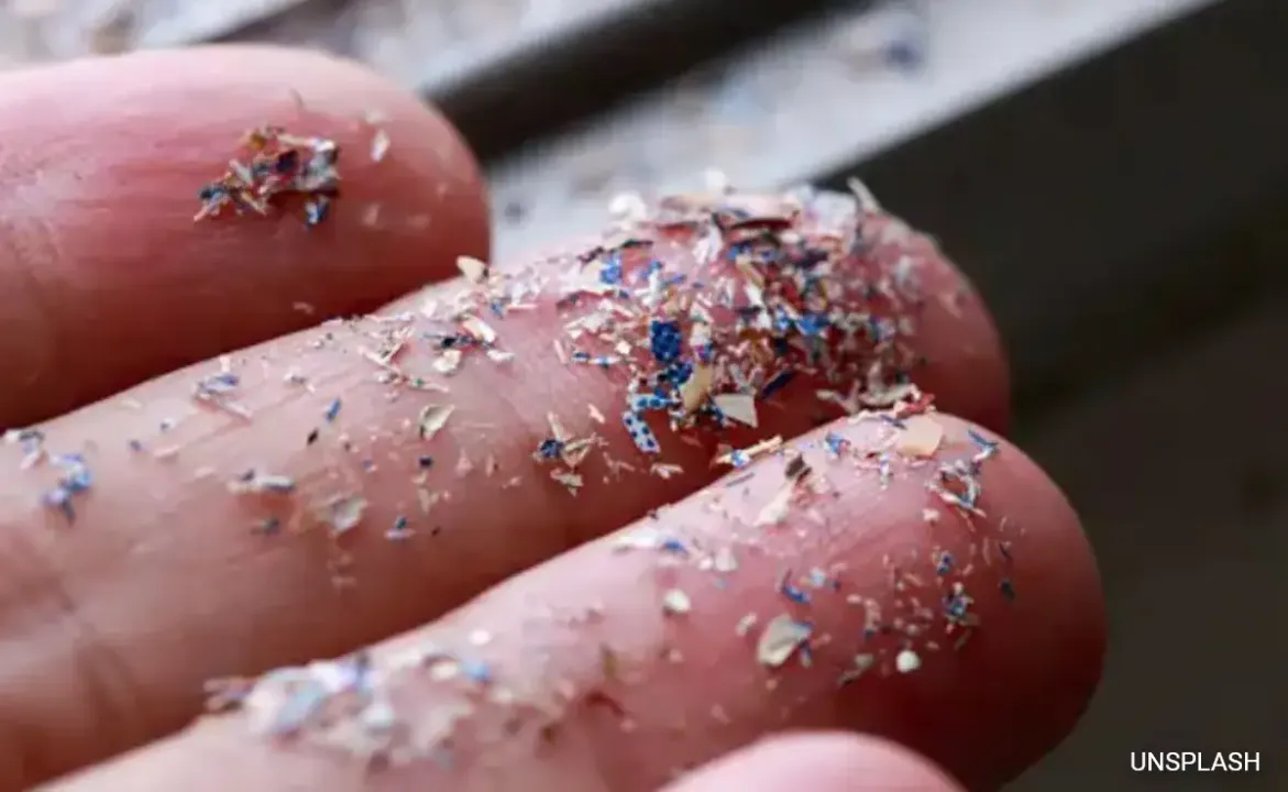  High levels of microplastics detected in human brains