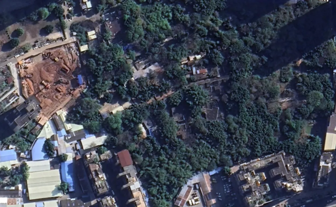  Archaeologists dig under Chinese zoo to find 150 ancient graves dating back 2,100 year