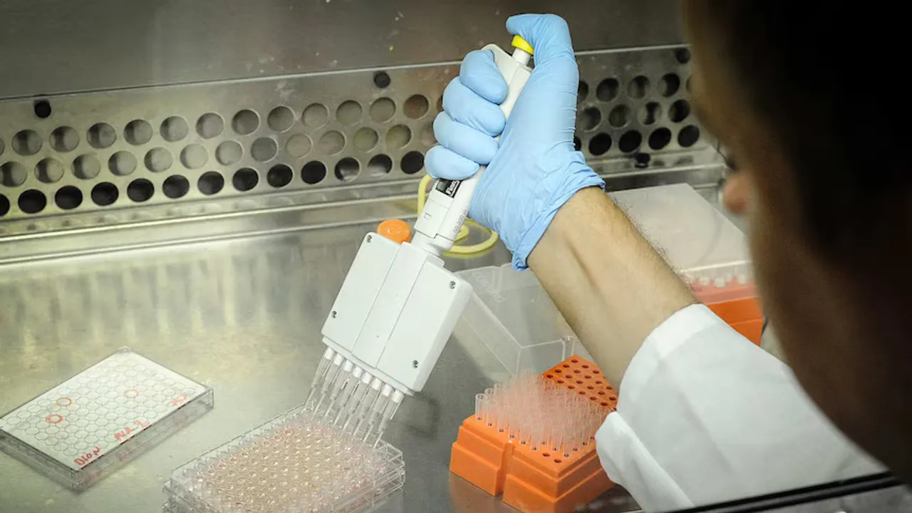  After 100 years of theories, scientists find healing cells that could transform chronic wound treatment