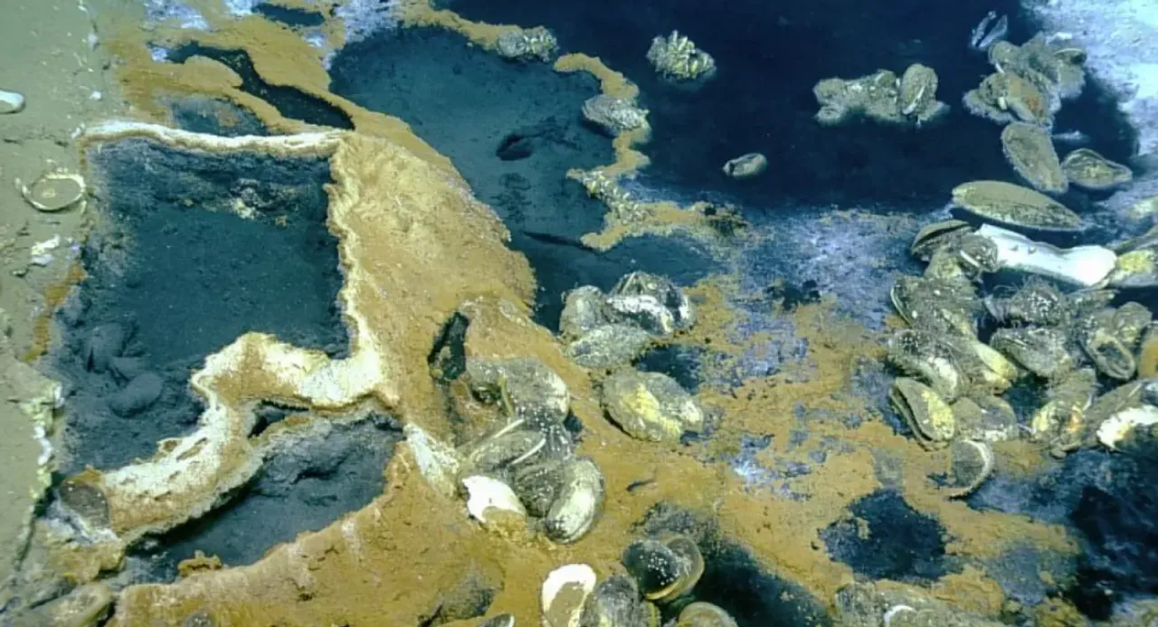  Discovering the Hot Tub of Despair: the deadly depths of the gulf