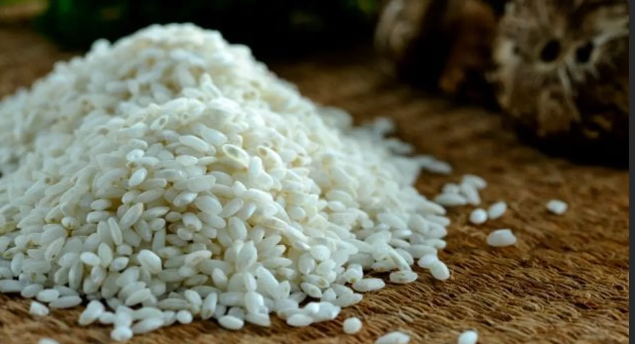  A new diabetes-fighting rice variety could soon be cultivated in India