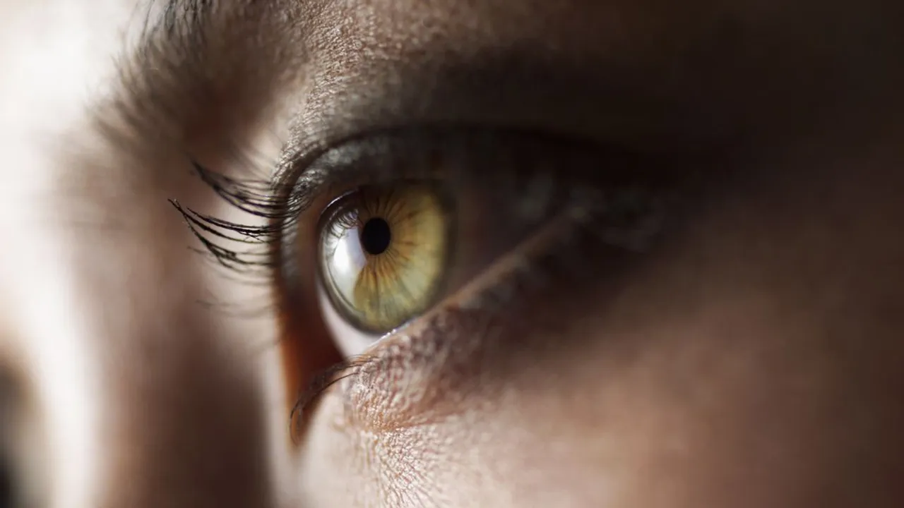  Today years old? Humans do not have five senses, but more