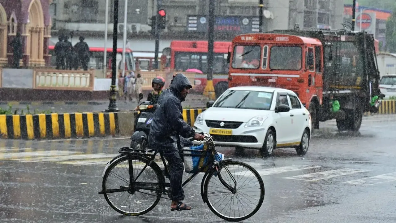  IIT Bombay launches platforms for rainfall and flood monitoring in Mumbai