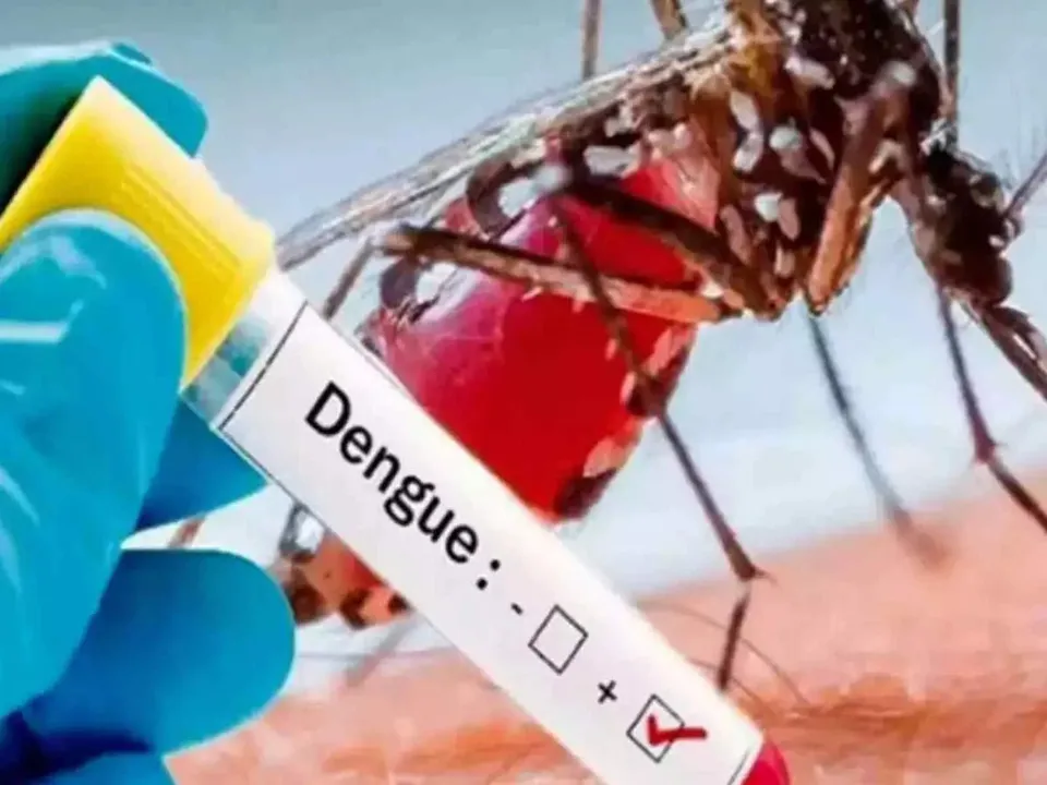 Karnataka declares dengue epidemic, Stricter regulations and fines imposed