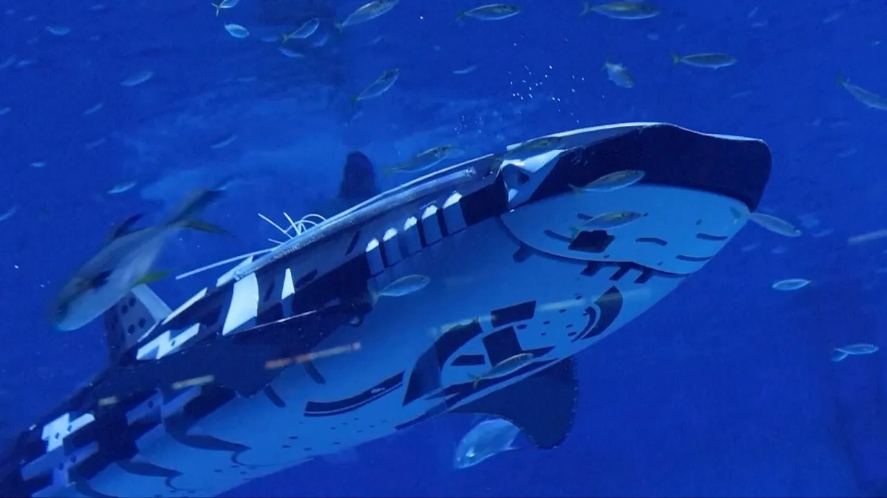  First intelligent robotic whale shark in history transforms marine technology