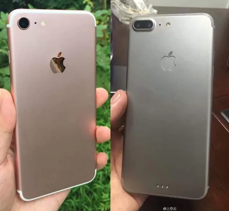 Apple to launch iPhone Plus