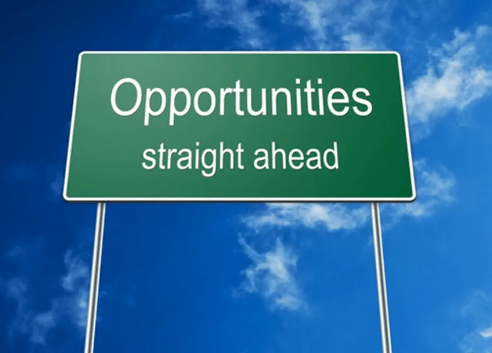 revenue opportunities