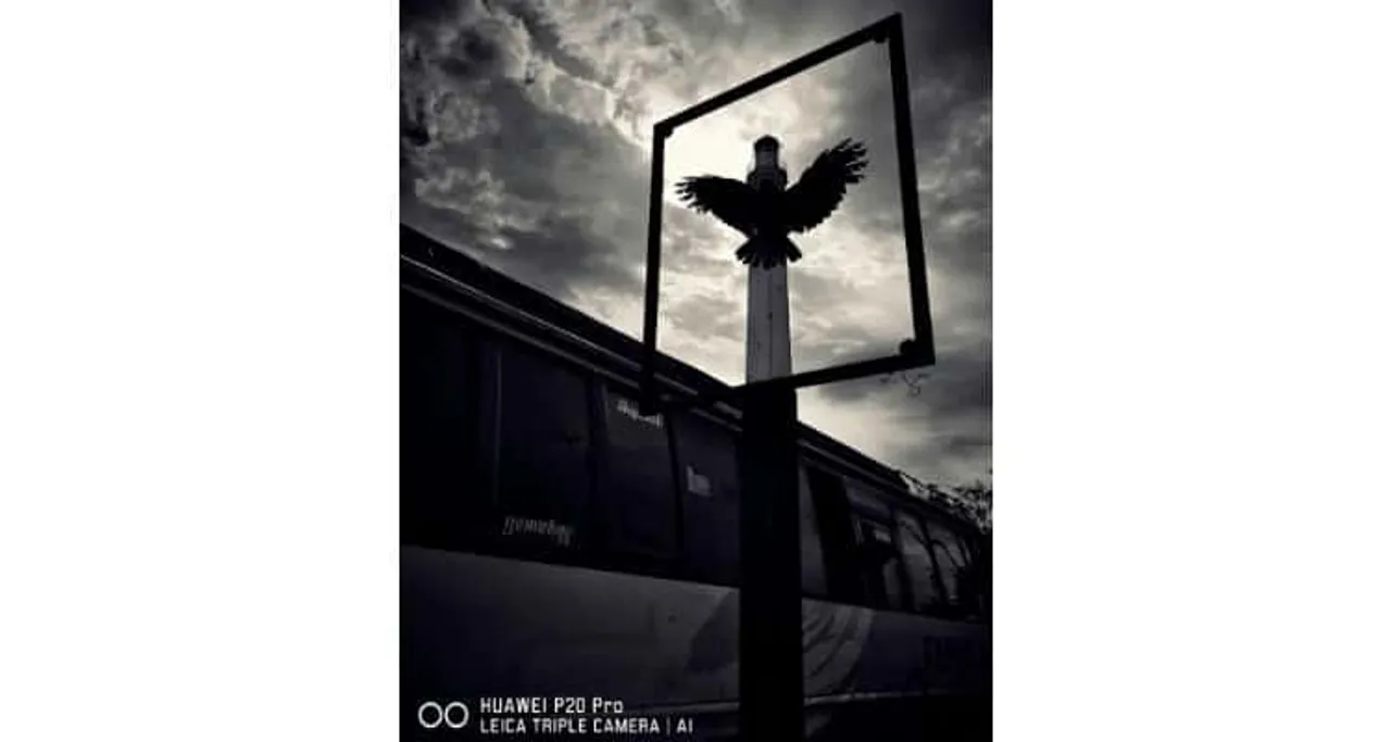 P probattleleague winning photographxxx