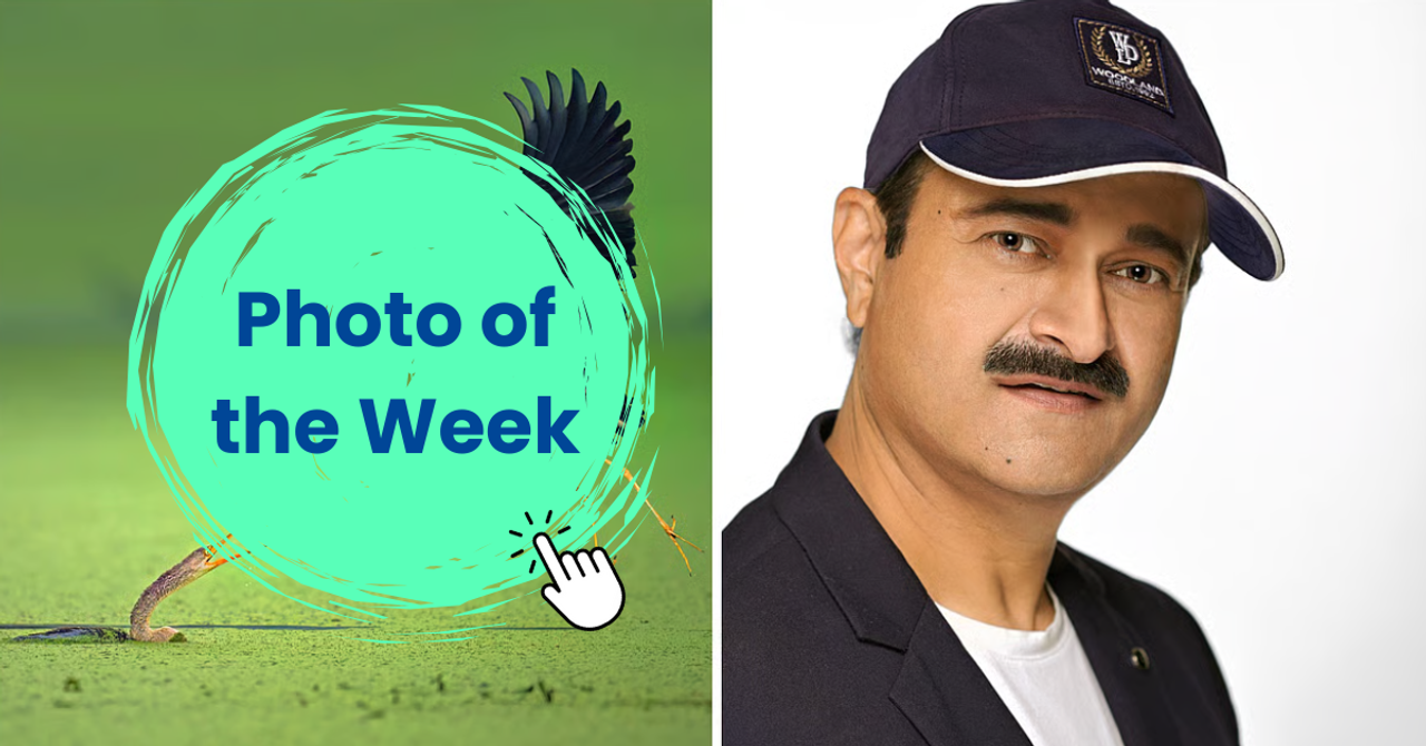 Photo of the Week: Indian Wildlife Photographer Beats 109 Countries To Take World No 1