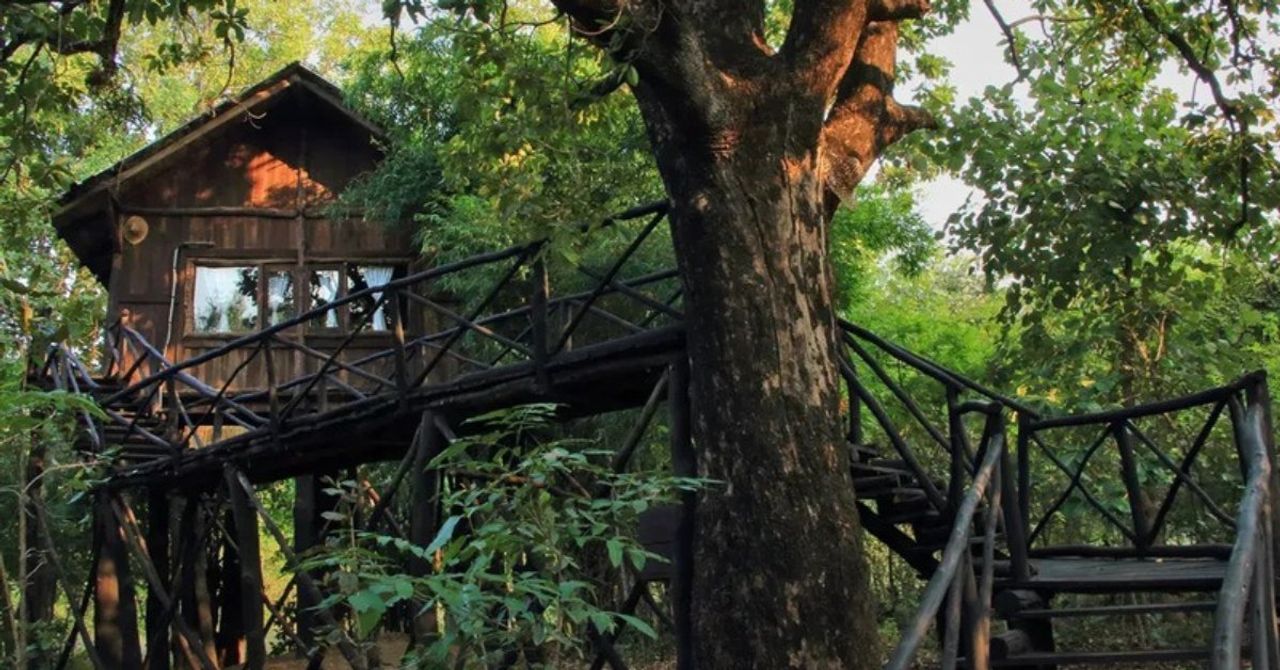 Stay Among the Treetops: 10 Breathtaking Treehouse Retreats in India