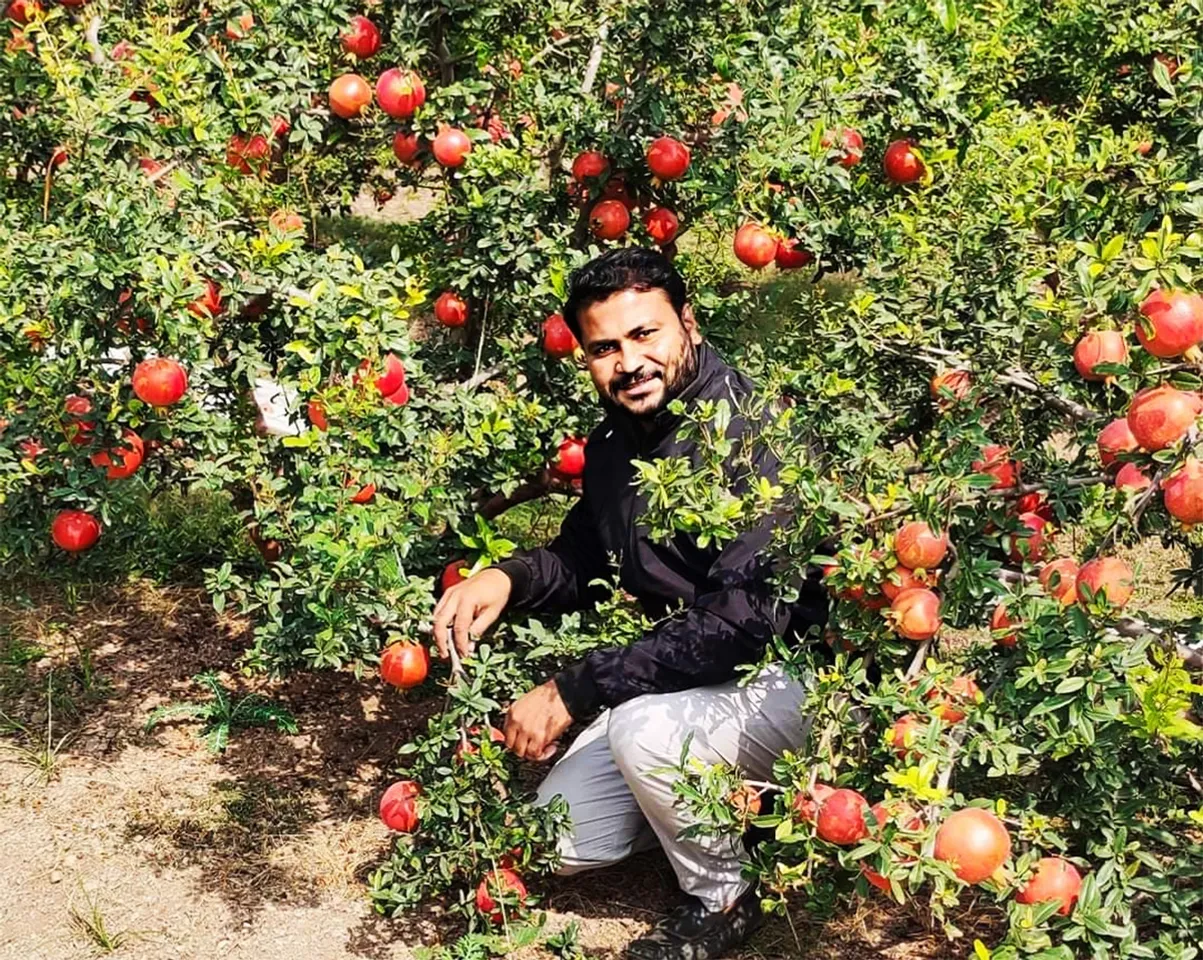Akshay Sagar at his farm in Atpadi, Sangli