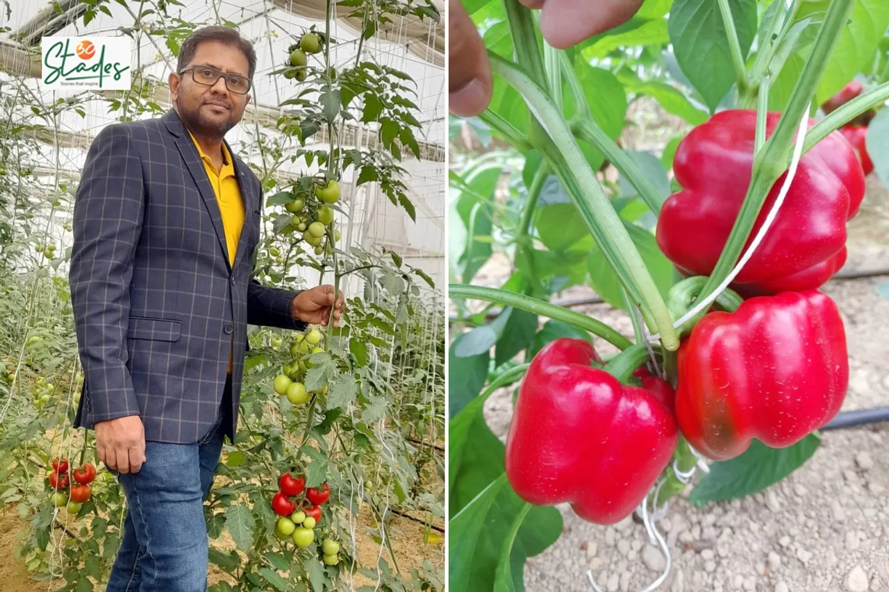 Rahul Gupta grows vegetables in his unit at Tinsukia, Assam