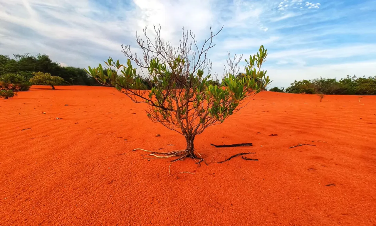 Theri Kaadu: The red sand desert in Tamil Nadu