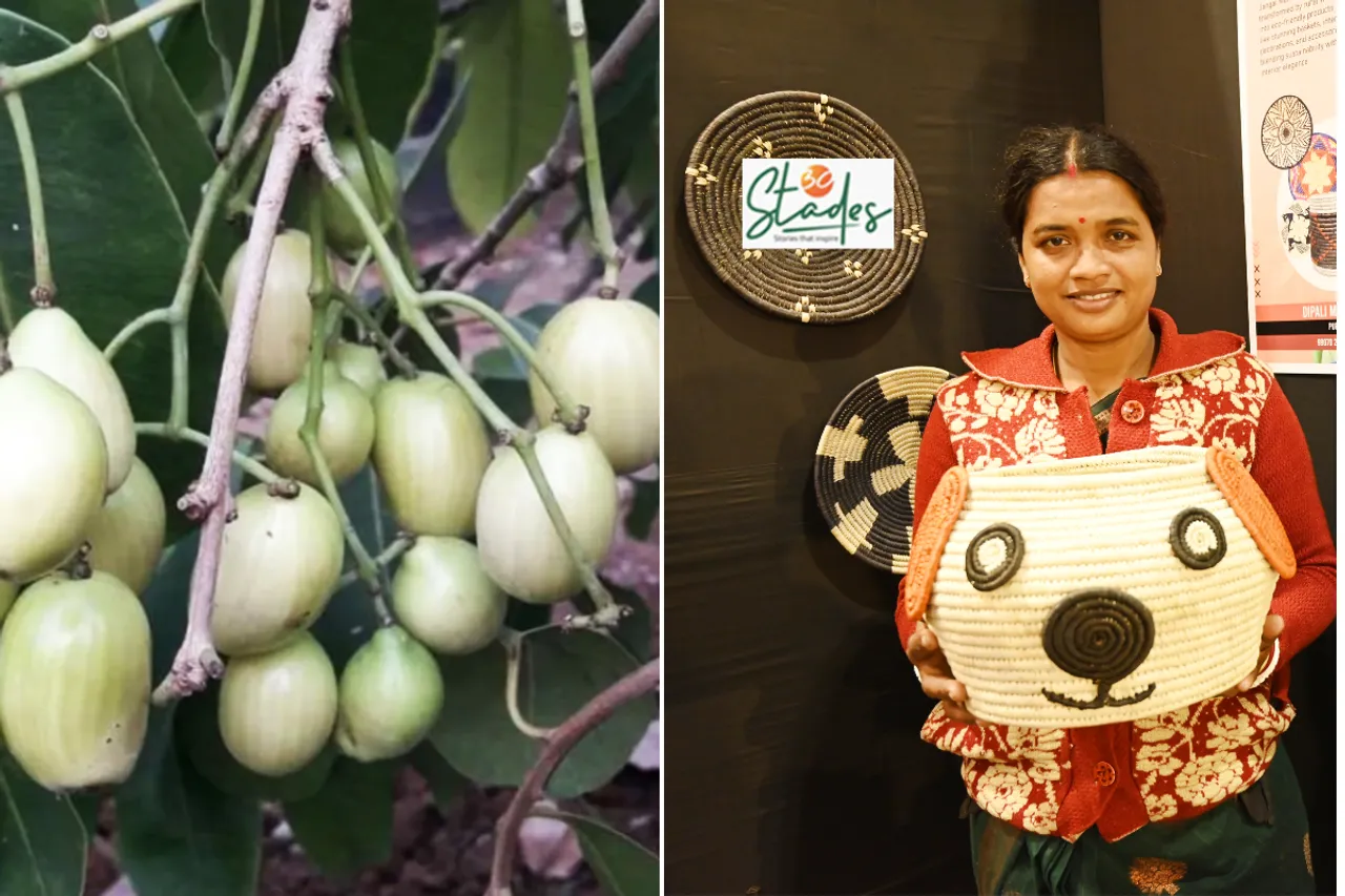White Jamun and Sabai Grass