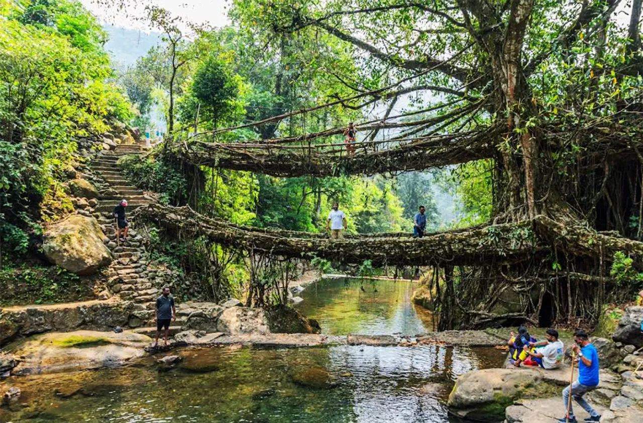 Living Root Bridges: Man-made natural bridges that last for centuries