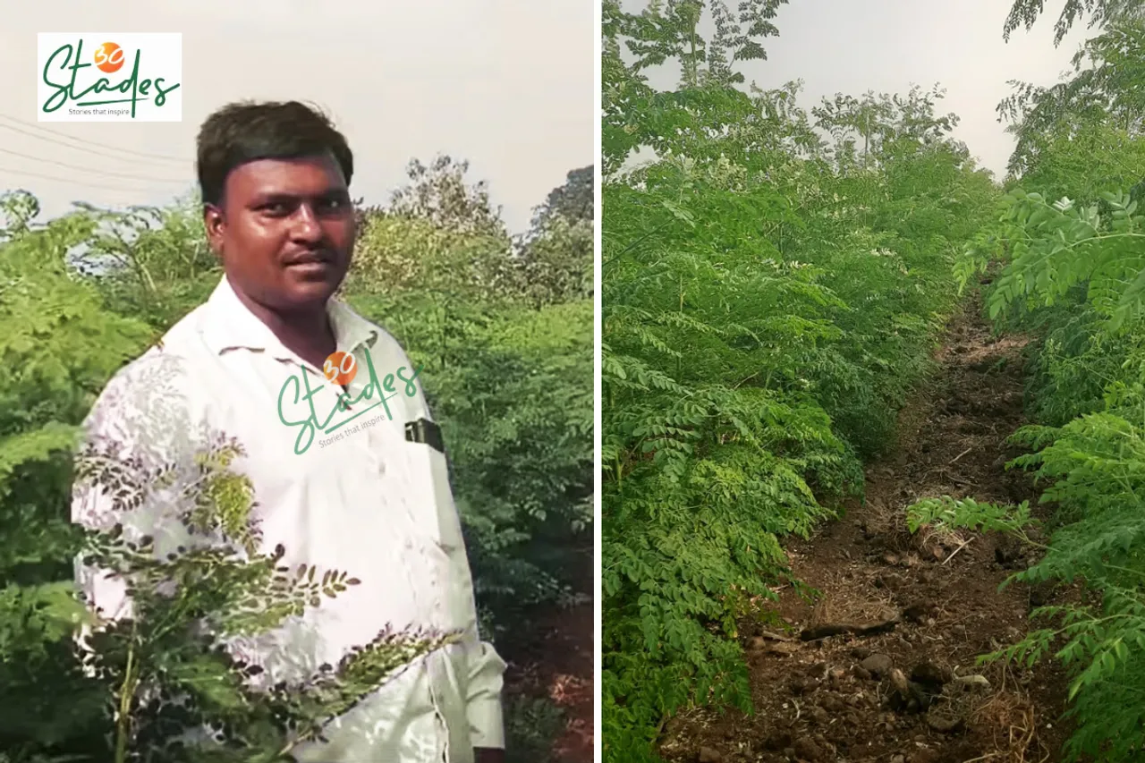 Mahadev More at his moringa farm in Sade village, Solapur, Maharashtra