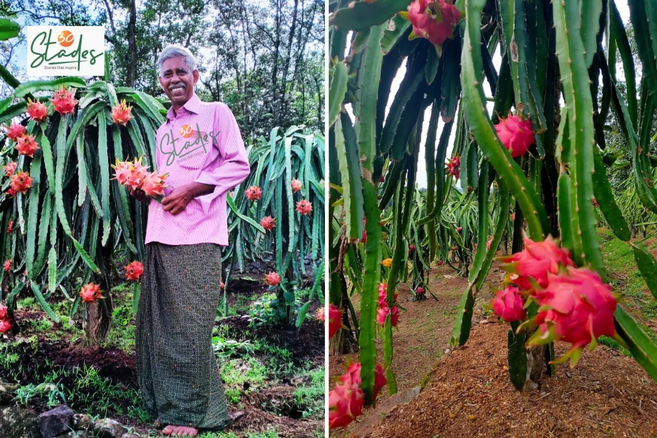 Joseph KS, 69, on his dragon fruit farm in Ranni, Kerala 