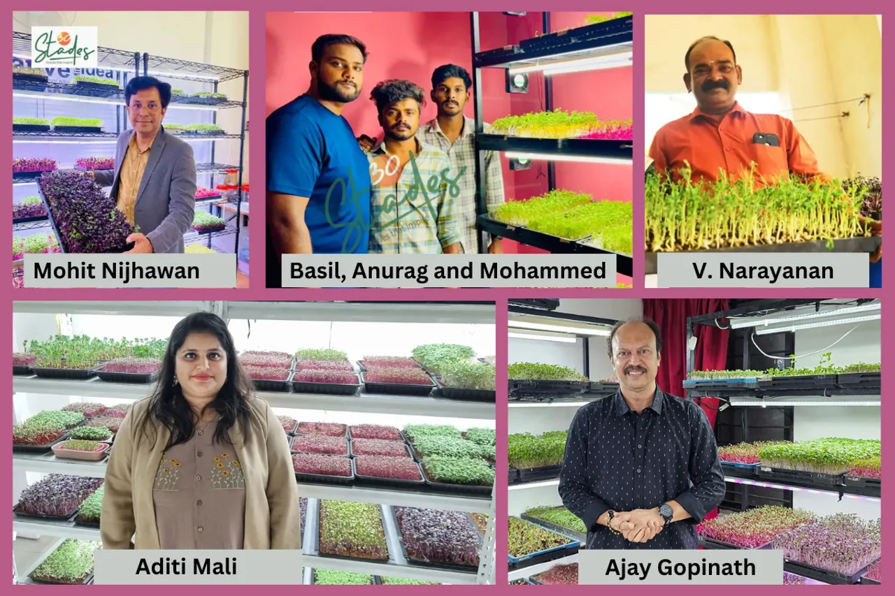 Five microgreens entrepreneurs who started in 100 sq ft and now earn lakhs monthly