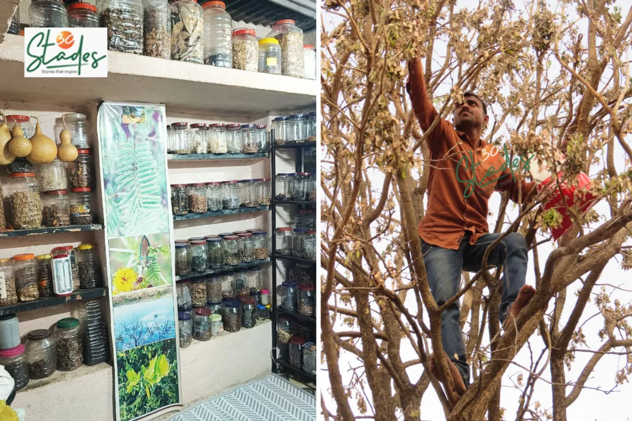 Shivshankar Chapule collects native seeds from forests for conservation  