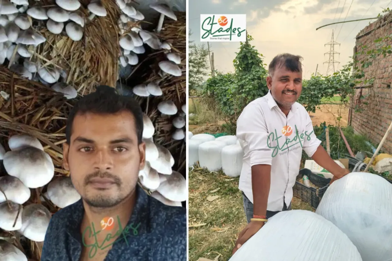 Mushroom Engineer and Agriwaste Millionaire