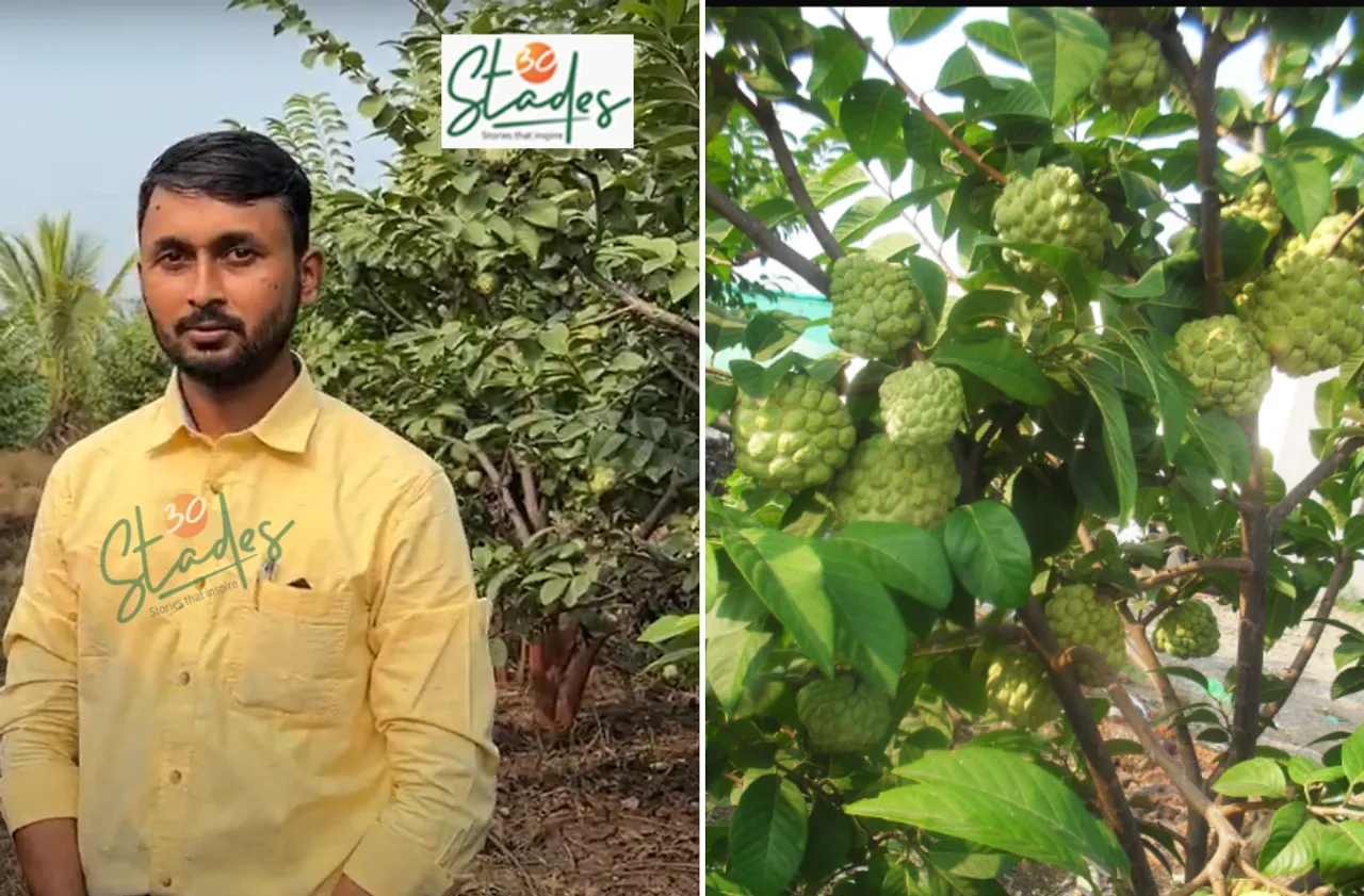 Shridhar-Divekar-custard-apple-lead-30stades