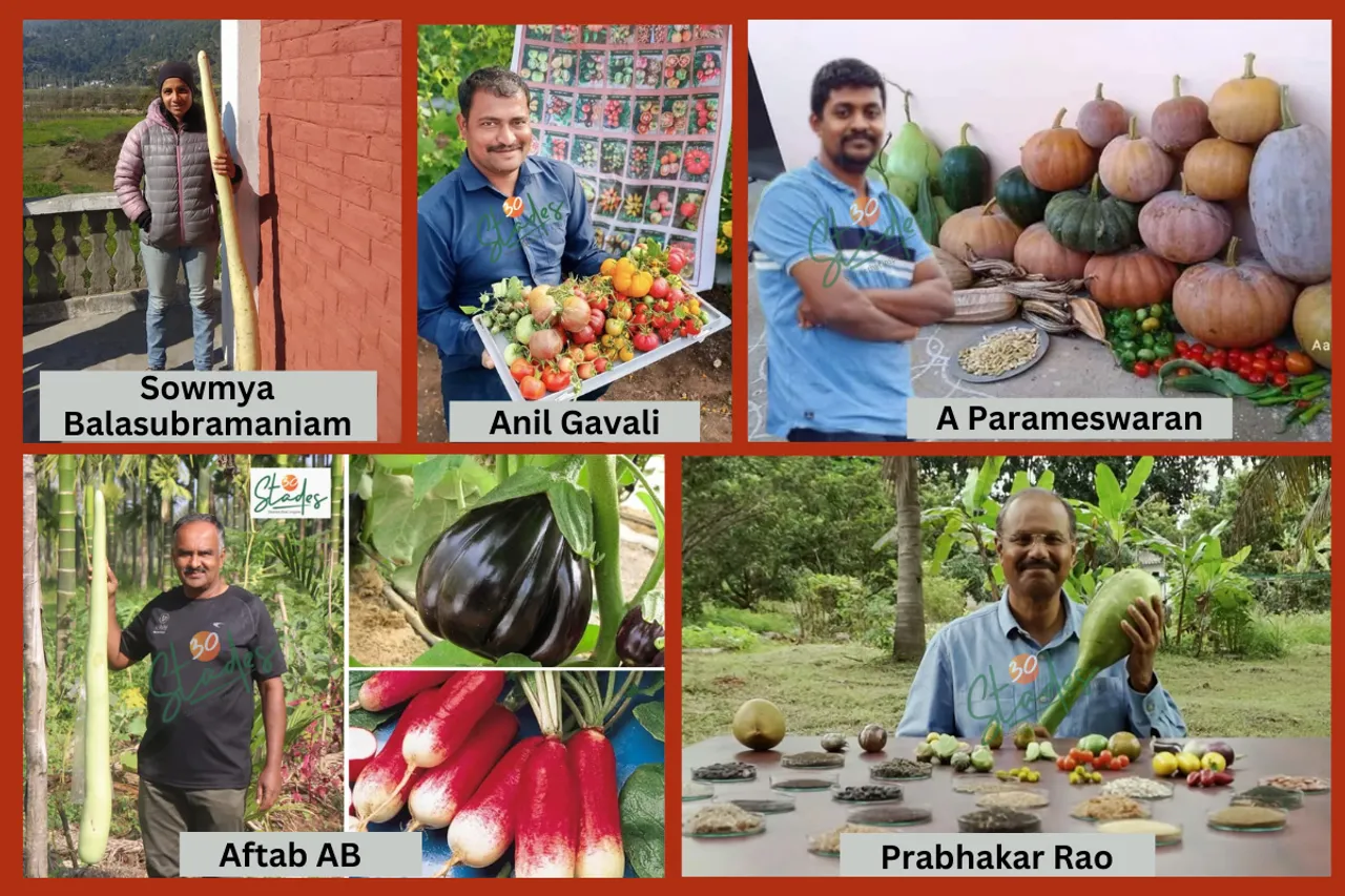 five-farmer-seed-saver-sellers-30stades