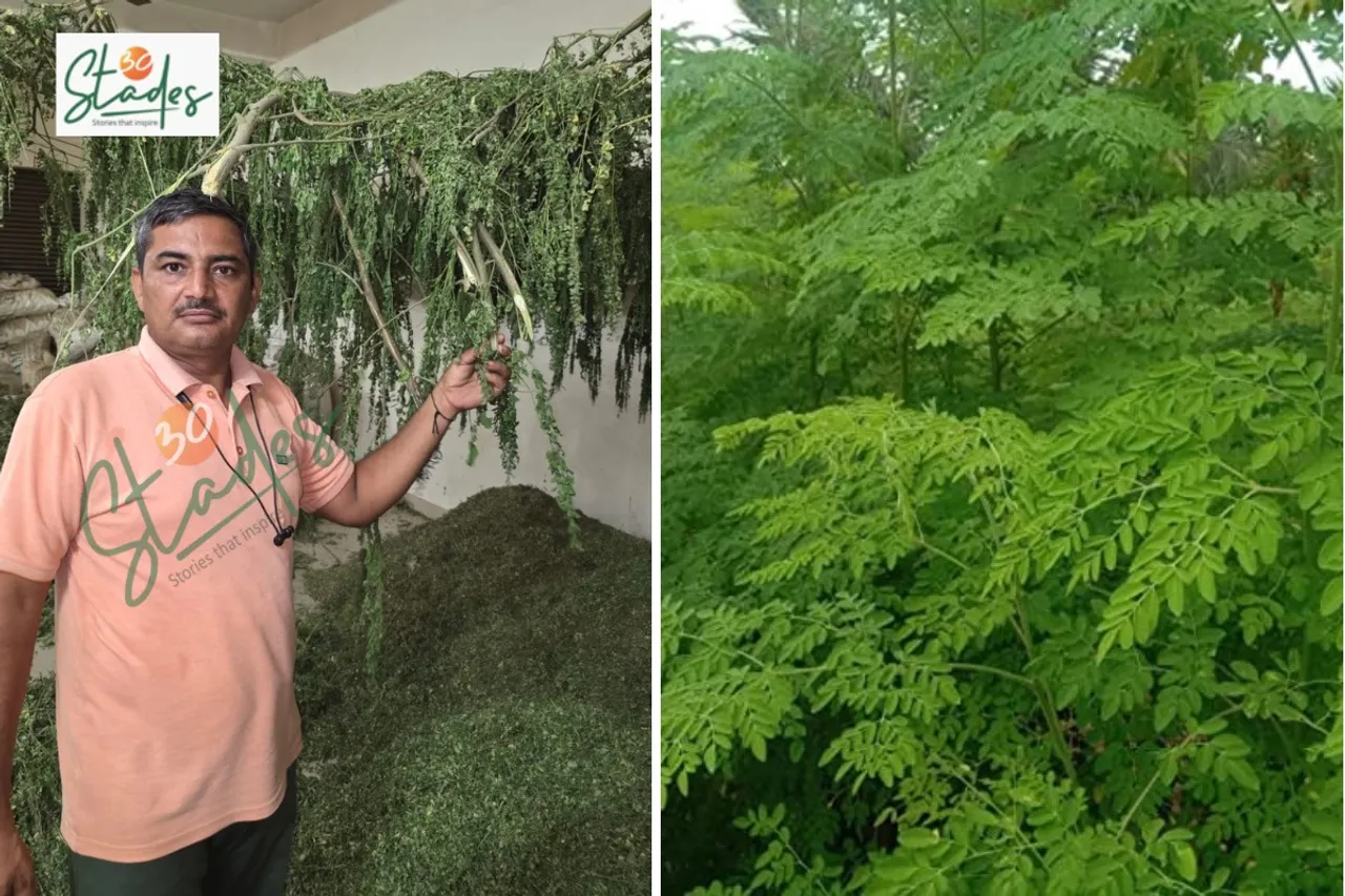 Amarjeet-singh-moringa-haryana-lead-30stades