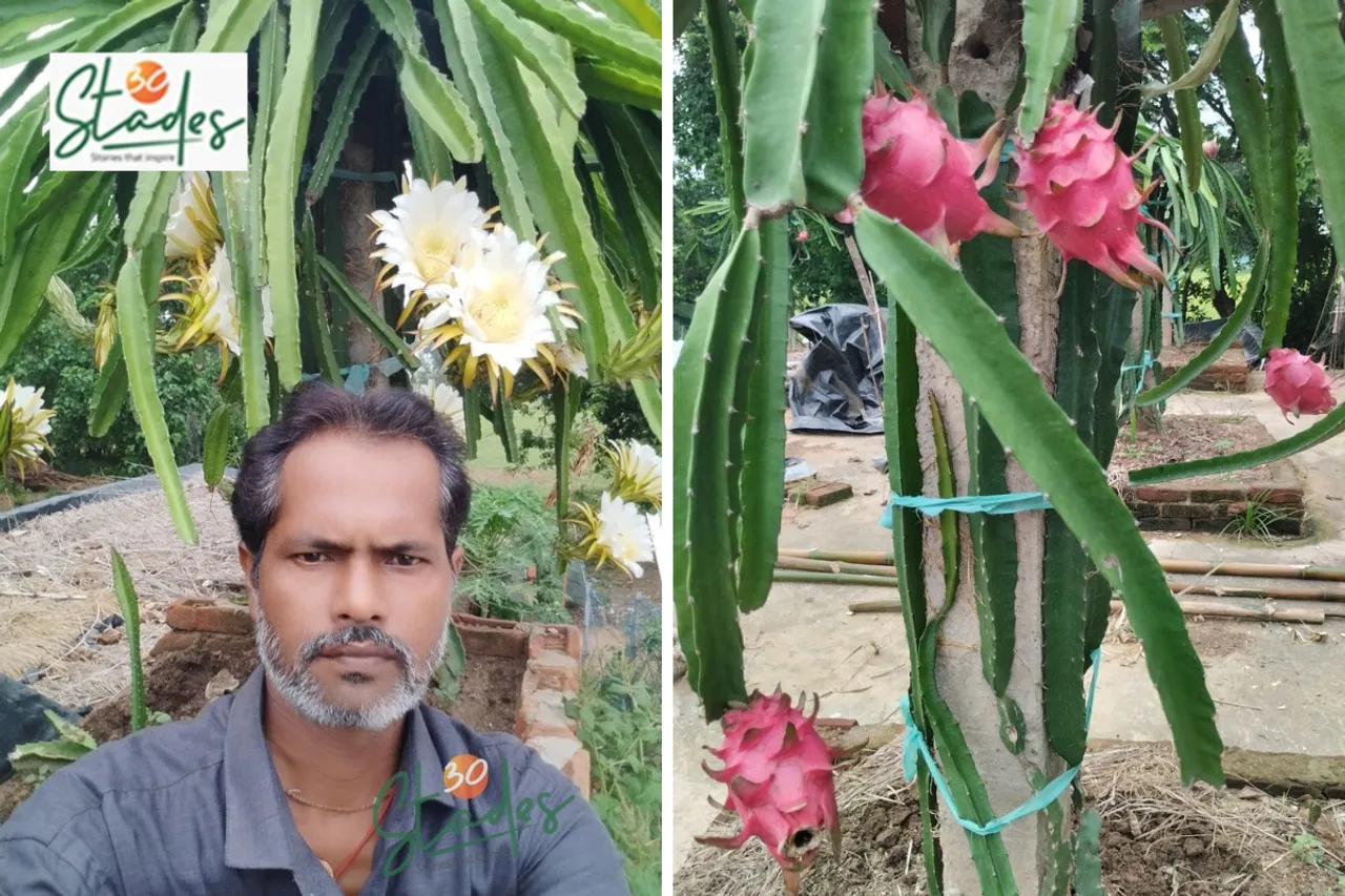 babuli-dragon-fruit-lead-odisha-30stades
