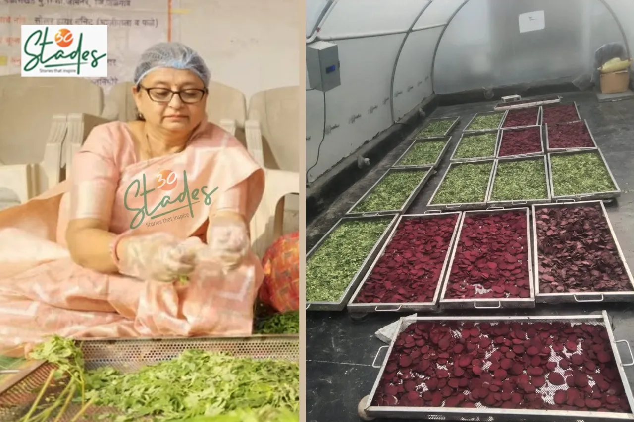 vandana-patil-solar-drying-lead-jalgaon-30stades