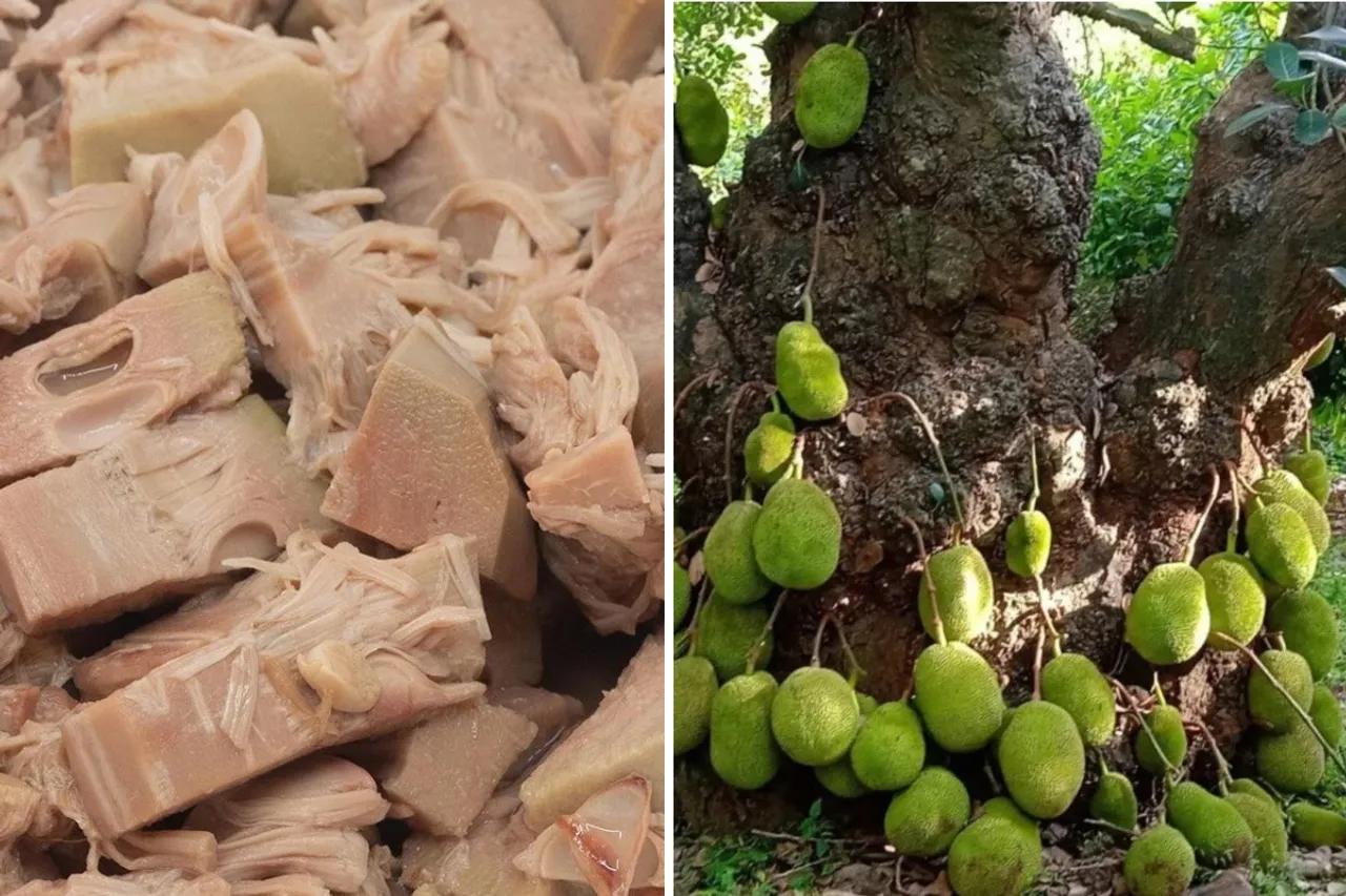 jackfruit-vegan-meat-lead-30stades