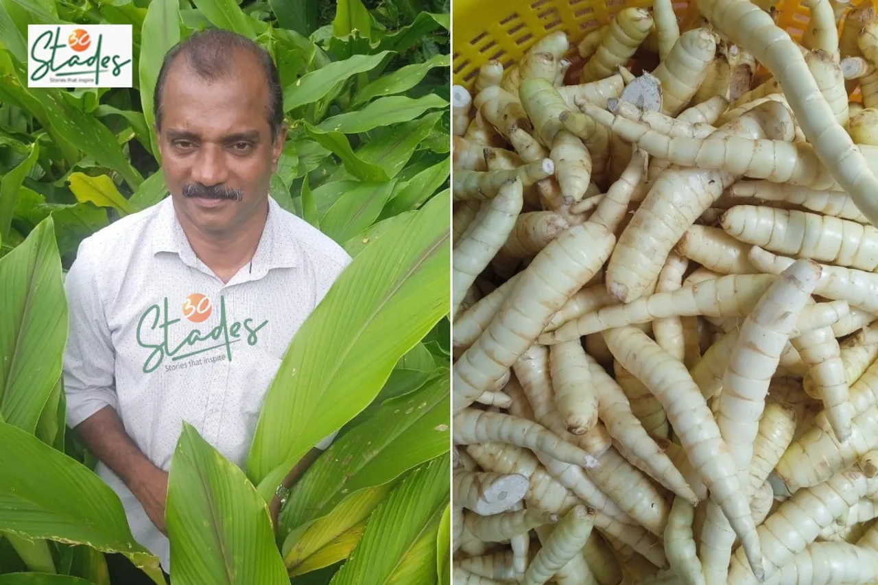 sibi-arrowroot-kerala-lead-30stades